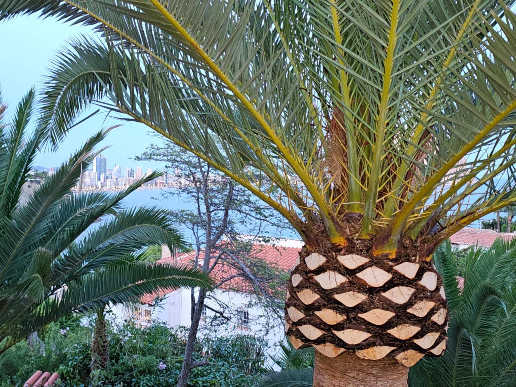 Casa Veintiuno En Calp Calpe Exterior foto